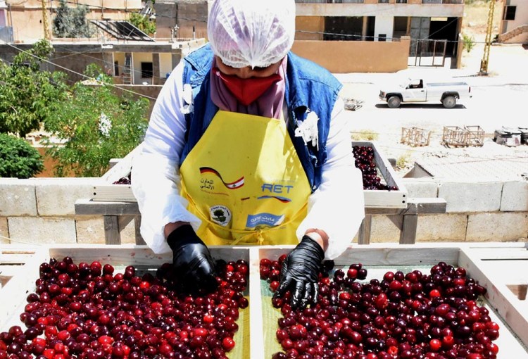 Planning for Success in Lebanese Agriculture with Integrated Pest Management