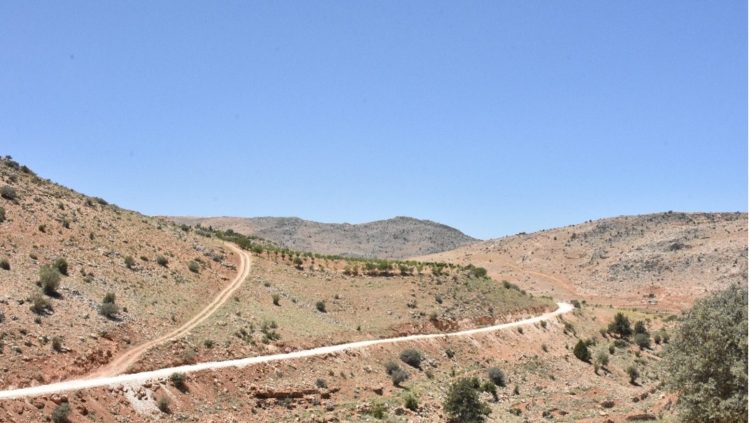 Road to Resilience in Lebanon: Transforming Arsal’s Agricultural Landscape