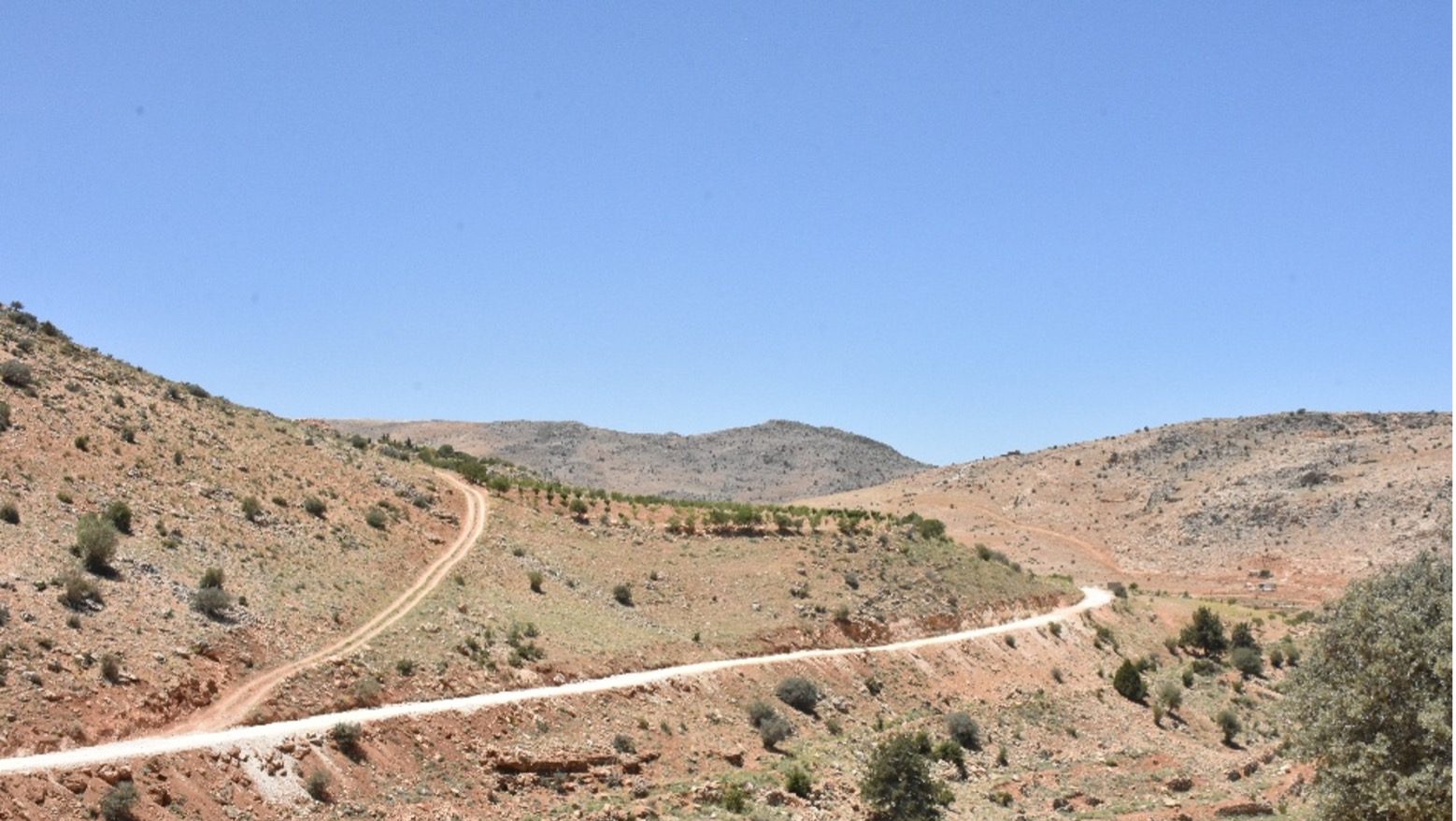 Road to Resilience in Lebanon: Transforming Arsal’s Agricultural Landscape