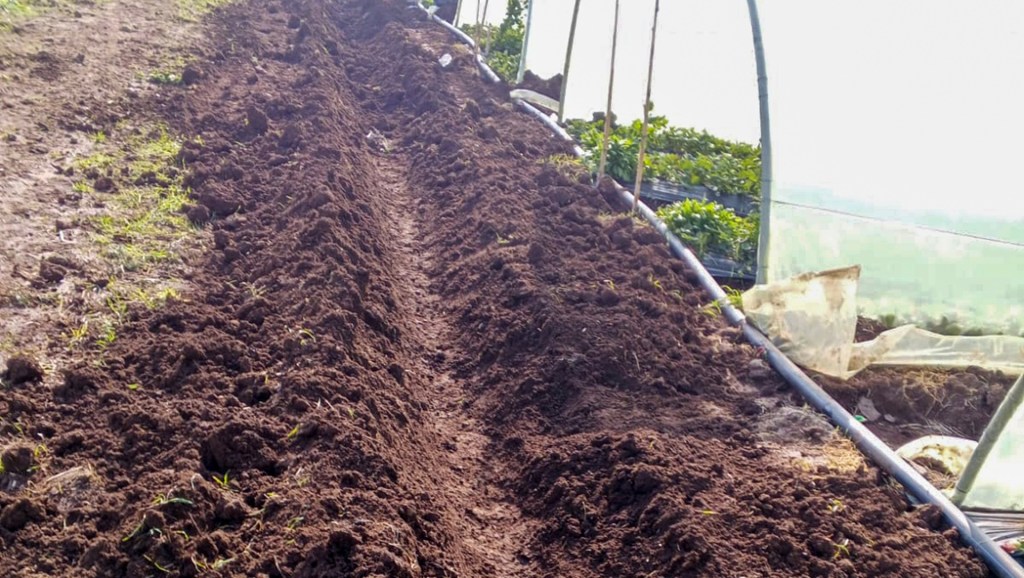 Beyond the Fields: How Practical Training protected families in Wadi Khaled