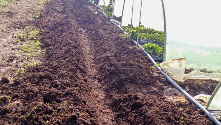 Beyond the Fields: How Practical Training protected families in Wadi Khaled