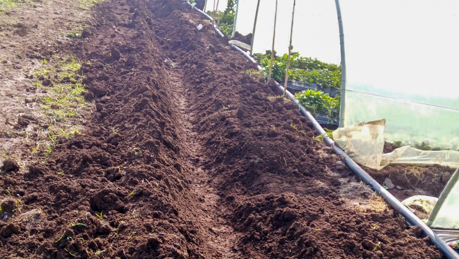 Beyond the Fields: How Practical Training protected families in Wadi Khaled