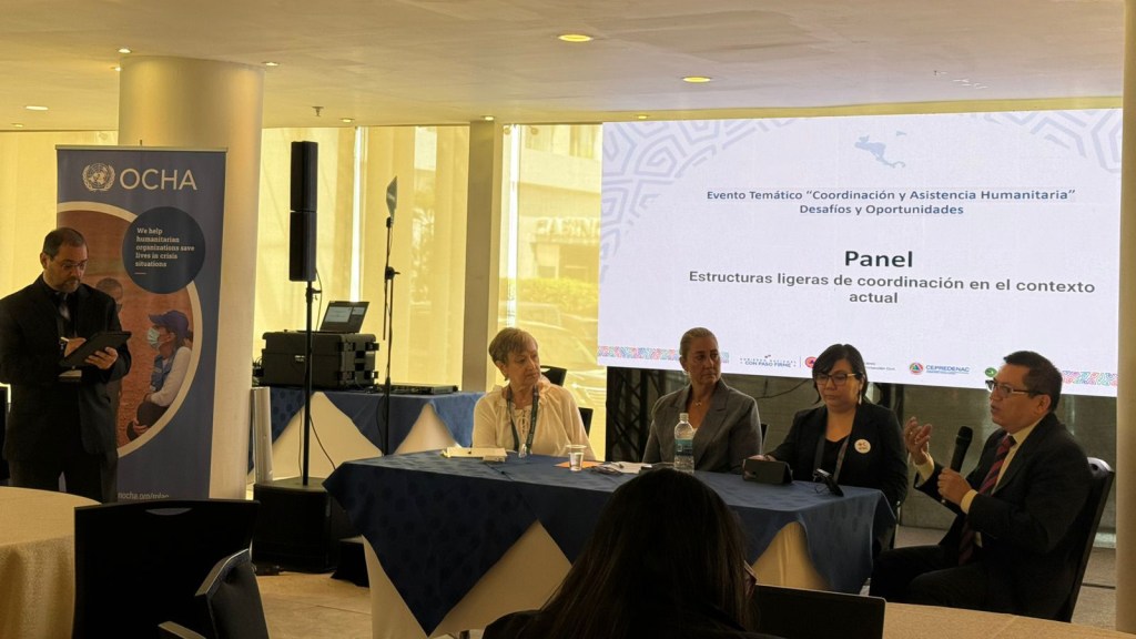 Coordinación anticipatoria y territorial: RET aporta su experiencia regional en foro sobre gestión del riesgo