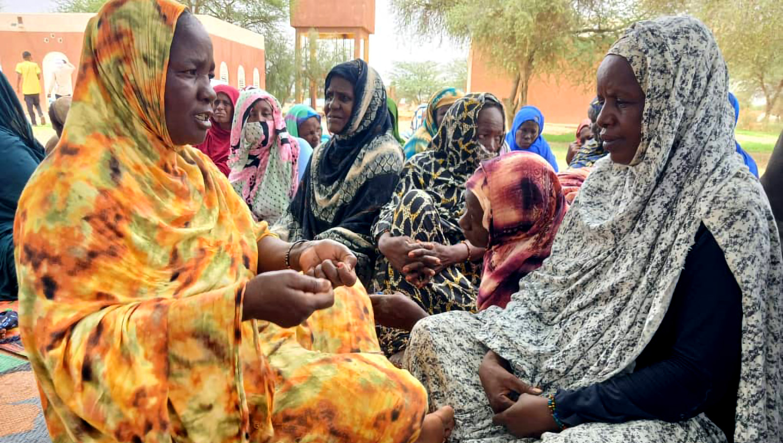 Building Bridges Through Agriculture in Fassala, Mauritania