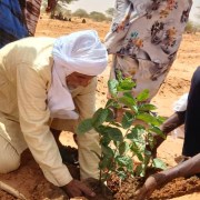 Taking Root in Mauritania: RET and WFP Launch 2026 Planting Season in M’bera Refugee Camp