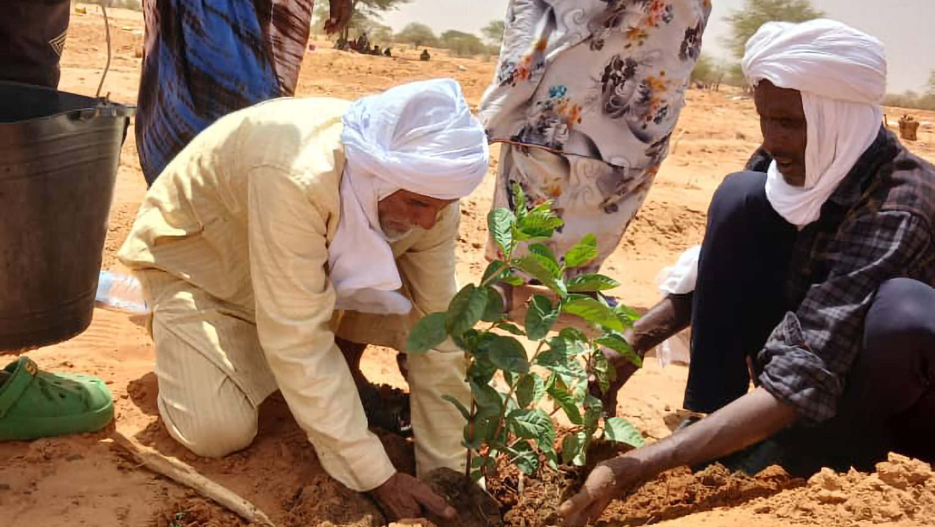 Taking Root in Mauritania: RET and WFP Launch 2026 Planting Season in M’bera Refugee Camp