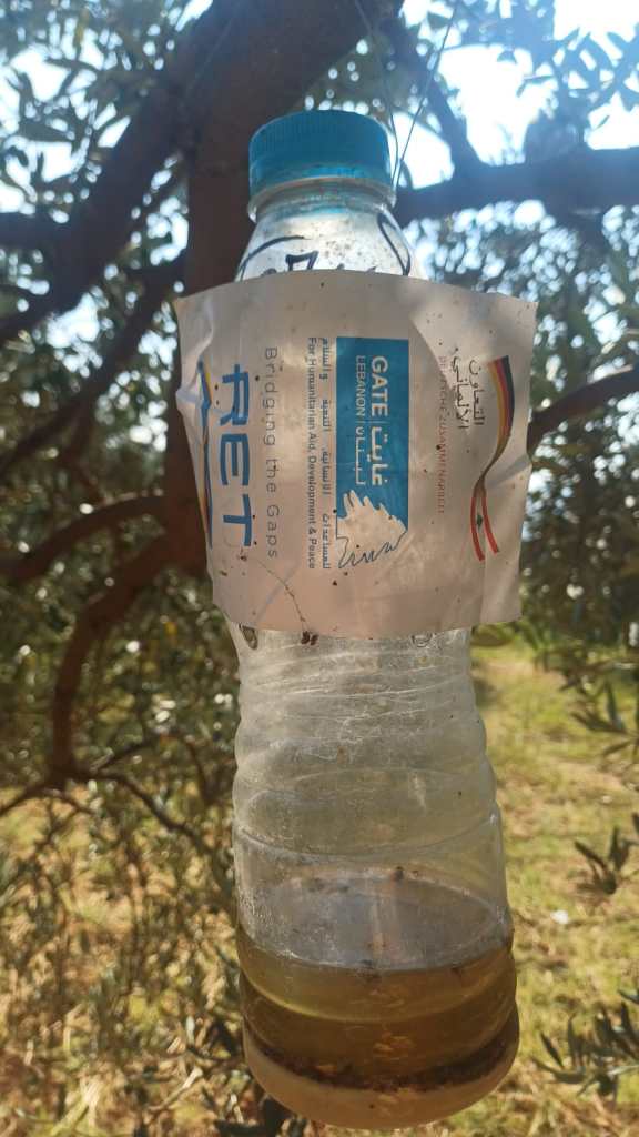 A plastic bottle hanging from a tree, containing a yellowish liquid, with a label featuring Arabic and English text, showcasing a project called 'Bridging the Gaps' in Lebanon.